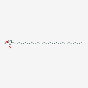 molecular formula C24H48O2 B1611706 (113C)Tetracosanoic acid CAS No. 302912-17-0