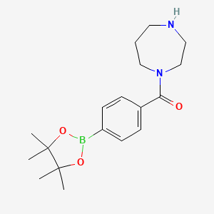 [1,4]Diazepan-1-YL-[4-(4,4,5,5-tetramethyl-[1,3,2]dioxaborolan-2-YL)-phenyl]-methanone