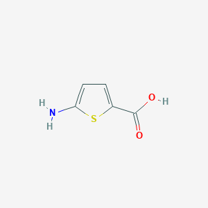 molecular formula C5H5NO2S B1612119 5-Aminothiophene-2-carboxylic acid CAS No. 204068-72-4