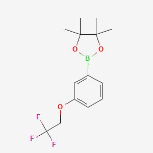 molecular formula C14H18BF3O3 B1612410 4,4,5,5-Tetramethyl-2-[3-(2,2,2-trifluoroethoxy)phenyl]-1,3,2-dioxaborolane CAS No. 864754-15-4