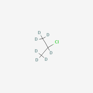 molecular formula C3H7Cl B1612503 2-Chloropropane-d7 CAS No. 55956-02-0