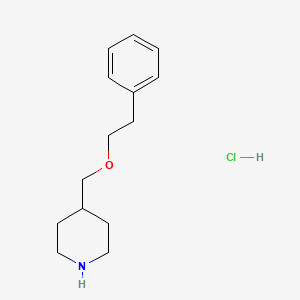 molecular formula C14H22ClNO B1612940 4-[(Phenethyloxy)methyl]piperidine hydrochloride CAS No. 1185299-23-3