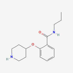 B1613042 2-(4-Piperidinyloxy)-N-propylbenzamide CAS No. 902837-05-2