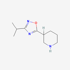 molecular formula C10H17N3O B1613043 3-(3-Isopropyl-1,2,4-oxadiazol-5-YL)piperidine CAS No. 902837-19-8