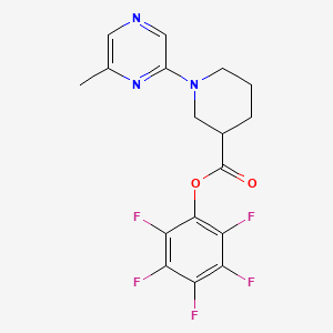 molecular formula C17H14F5N3O2 B1613046 Pentafluorophenyl 1-(6-methylpyrazin-2-yl)piperidine-3-carboxylate CAS No. 941716-83-2