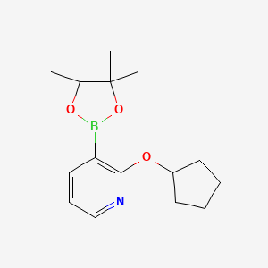 molecular formula C16H24BNO3 B1613205 2-(Cyclopentyloxy)-3-(4,4,5,5-tetramethyl-1,3,2-dioxaborolan-2-YL)pyridine CAS No. 1073371-90-0