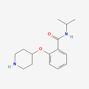 molecular formula C15H22N2O2 B1614216 N-Isopropyl-2-(piperidin-4-yloxy)benzamide CAS No. 902837-04-1