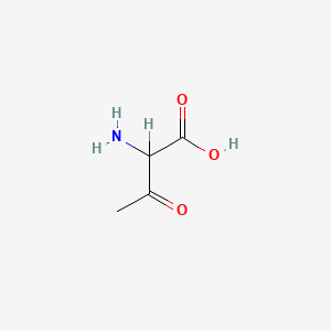 molecular formula C4H7NO3 B1614672 2-氨基-3-氧代丁酸 CAS No. 6531-42-6