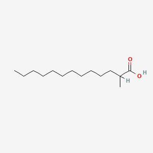 molecular formula C14H28O2 B1614838 2-Methyltridecanoic acid CAS No. 24323-31-7