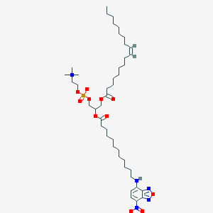 molecular formula C44H76N5O11P B161504 [2-[12-[(4-nitro-2,1,3-benzoxadiazol-7-yl)amino]dodecanoyloxy]-3-[(Z)-octadec-9-enoyl]oxypropyl] 2-(trimethylazaniumyl)ethyl phosphate CAS No. 131479-28-2