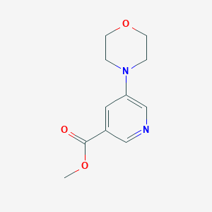molecular formula C11H14N2O3 B1616036 Methyl 5-morpholinonicotinate CAS No. 500865-54-3