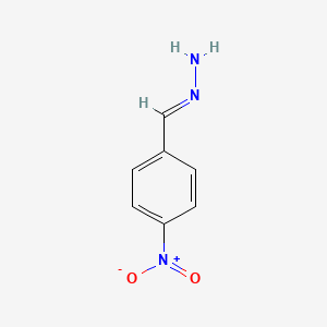 molecular formula C7H7N3O2 B1616122 4-Nitrobenzaldehyde hydrazone CAS No. 6310-10-7
