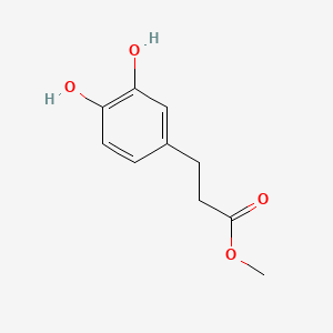Methyl 3-(3,4-dihydroxyphenyl)propanoate