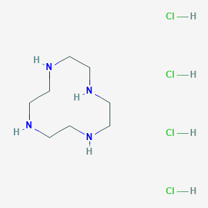 molecular formula C8H24Cl4N4 B161692 1,4,7,10-Tetraazacyclododecane tetrahydrochloride CAS No. 10045-25-7