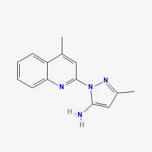 molecular formula C14H14N4 B1617450 3-methyl-1-(4-methylquinolin-2-yl)-1H-pyrazol-5-amine CAS No. 307342-03-6