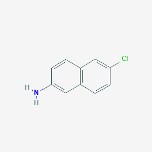 molecular formula C10H8ClN B1618176 6-Chloronaphthalen-2-amine CAS No. 23417-61-0