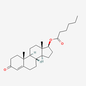 molecular formula C25H38O3 B1618265 Testosterone Caproate CAS No. 10312-45-5