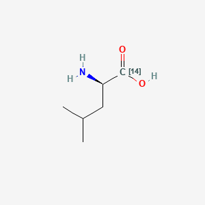 molecular formula C6H13NO2 B1618427 D-Leucine-1-14C CAS No. 26011-27-8