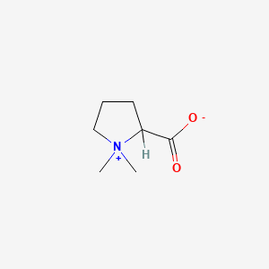 molecular formula C7H13NO2 B1618792 1,1-Dimethylpyrrolidinium-2-carboxylate CAS No. 32039-73-9