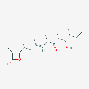 molecular formula C20H34O4 B161881 Ebelactone A CAS No. 76808-16-7