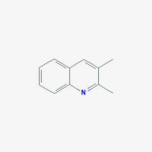 molecular formula C11H11N B161893 2,3-二甲基喹啉 CAS No. 1721-89-7