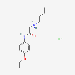 2-(Butylamino)-p-acetophenetidide, hydrochloride