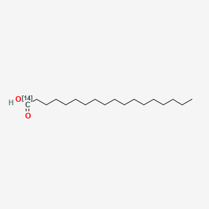 B1619437 Octadecanoic 1-14C acid CAS No. 638-64-2