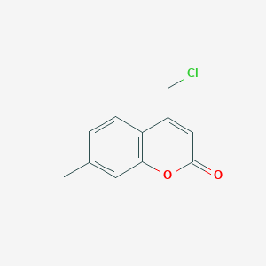 molecular formula C11H9ClO2 B1619590 4-Chloromethyl-7-methyl-chromen-2-one CAS No. 41295-51-6