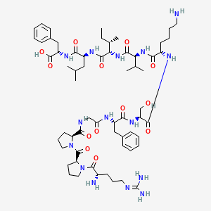 molecular formula C62H97N15O13 B1620007 Head activator peptide, hydra, arg(1), phe(5)- CAS No. 106128-91-0