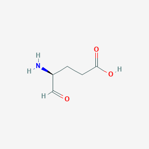 molecular formula C5H9NO3 B1620169 Glutamate-1-semialdehyde CAS No. 68462-55-5