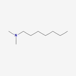 molecular formula C9H21N B1620184 1-(Dimethylamino)heptane CAS No. 5277-11-2