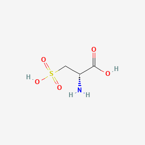molecular formula C3H7NO5S B1621381 D-Cysteic acid CAS No. 35554-98-4