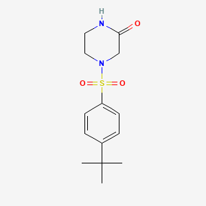 molecular formula C14H20N2O3S B1621715 4-(4-Tert-butylphenylsulfonyl)piperazin-2-one CAS No. 851215-92-4