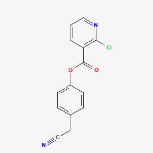 molecular formula C14H9ClN2O2 B1621839 4-(Cyanomethyl)phenyl 2-chloronicotinate CAS No. 219930-05-9
