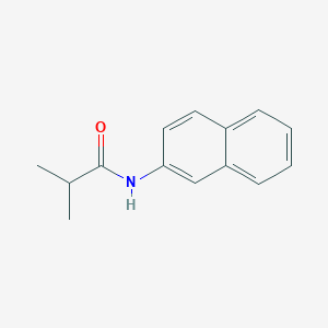 molecular formula C14H15NO B1622592 N-Naphthalen-2-yl-isobutyramide CAS No. 71182-40-6