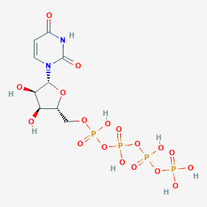 molecular formula C9H16N2O18P4 B162272 Uridine 5'-tetraphosphate CAS No. 10003-94-8