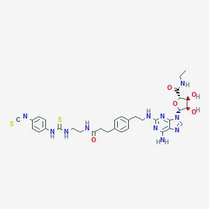 molecular formula C33H39N11O5S2 B162329 4-Isothiocyanatophenylaminothiocarbonyl-2-((2-aminoethylaminocarbonylethyl)phenylethylamino)-5'-N-ethylcarboxamidoadenosine CAS No. 129666-43-9