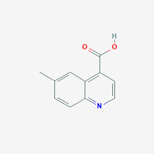 molecular formula C11H9NO2 B1623523 6-methylquinoline-4-carboxylic Acid CAS No. 816448-94-9