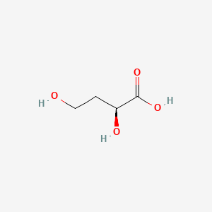 molecular formula C4H8O4 B1623946 (2S)-2,4-Dihydroxybutanoic acid CAS No. 22329-72-2