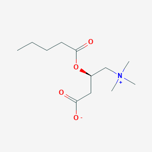 molecular formula C12H24NO4+ B1624400 O-戊酰基-L-肉碱 CAS No. 40225-14-7