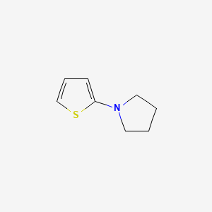 molecular formula C8H11NS B1624480 2-Pyrrolidino-thiophene CAS No. 19983-18-7