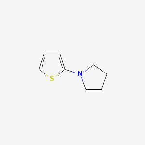 B1624480 1-(Thien-2-yl)pyrrolidine CAS No. 19983-18-7