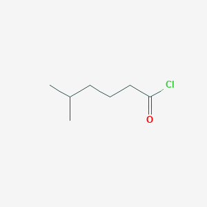 molecular formula C7H13ClO B1625670 5-Methylhexanoyl chloride CAS No. 5699-78-5