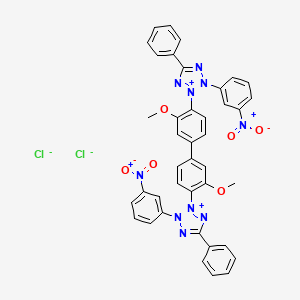 molecular formula C40H30Cl2N10O6 B1626971 3-Nitrotetrazolium blue chloride CAS No. 38184-50-8