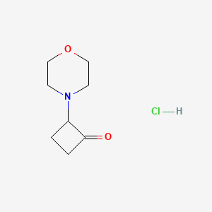 molecular formula C8H14ClNO2 B1627032 2-Morpholinocyclobutanone hydrochloride CAS No. 36461-20-8