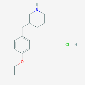 molecular formula C14H22ClNO B1627210 3-(4-Ethoxy-benzyl)-piperidine hydrochloride CAS No. 1170629-29-4