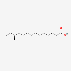 molecular formula C15H30O2 B1627298 (12S)-12-Methyltetradecanoic acid CAS No. 5746-58-7