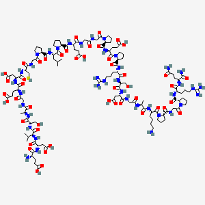 Pro-opiomelanocortin joining peptide(79-108)