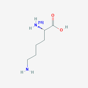 B1627321 (2S)-6-Amino-2-(15N)azanylhexanoic acid CAS No. 204451-50-3