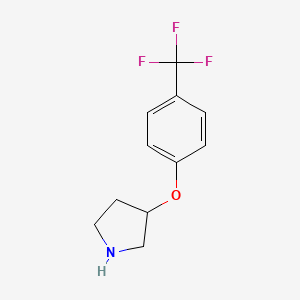 molecular formula C11H12F3NO B1627636 3-[4-(Trifluoromethyl)phenoxy]pyrrolidine CAS No. 308386-24-5